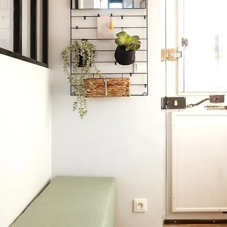 Maison Proche Centre Historique * Albi